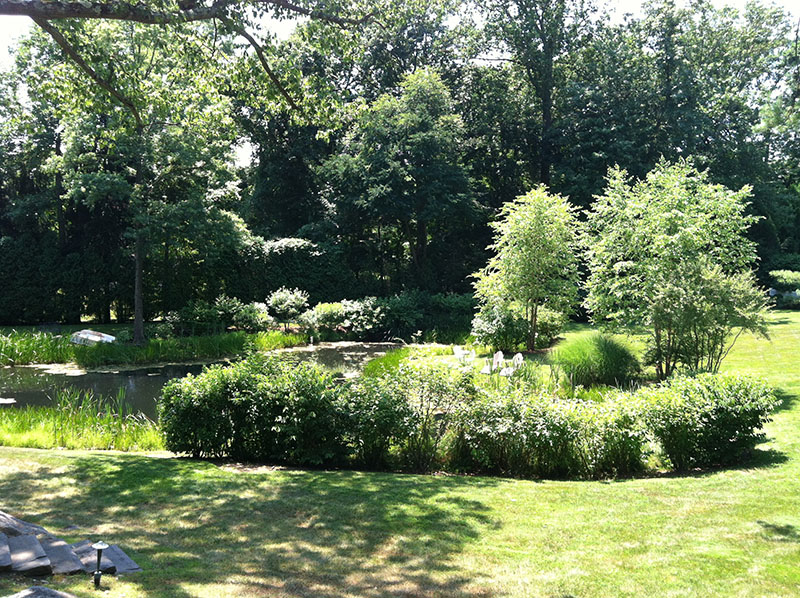 landscaping around lake in backyard