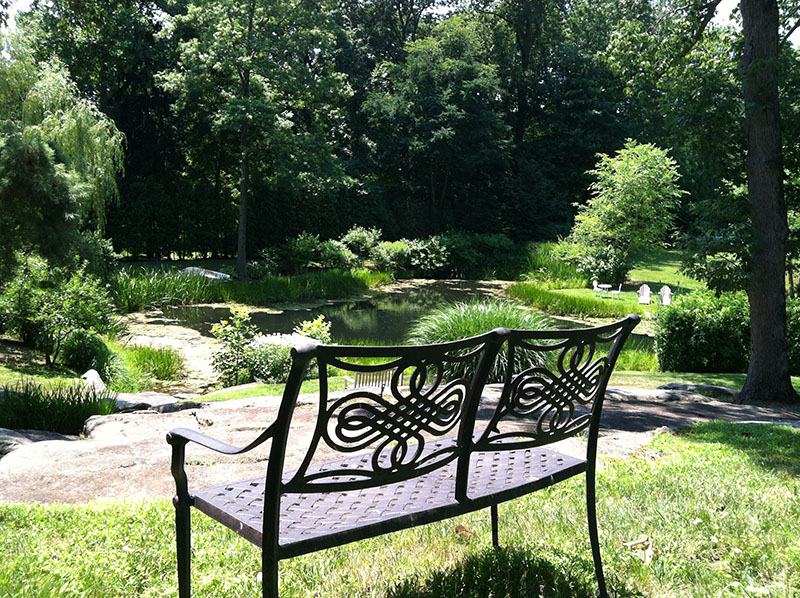 picturesque bench overlooking pond