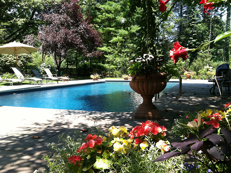 Pool-side landscaping