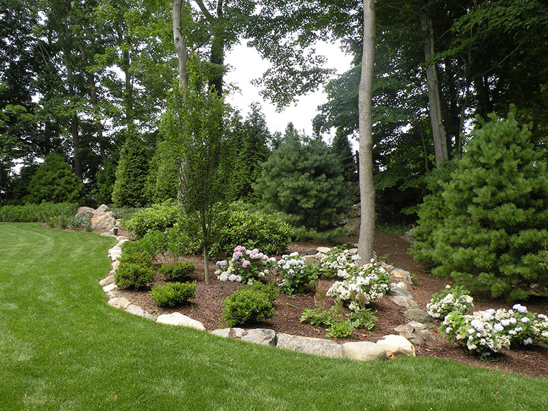 mansion landscaping backyard