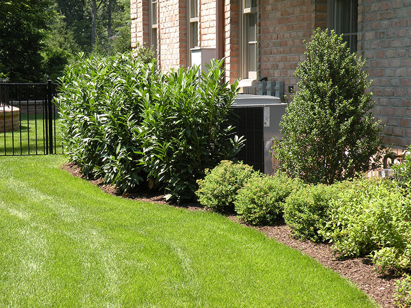 lawn care and landscaping